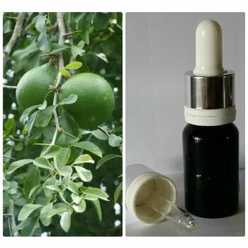 Натуральное 100% эфирное масло без добавок Лайм западно-индийский Citrus aurantifolia Swingle